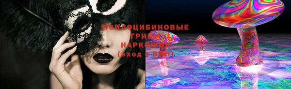 PSILOCYBIN Рославль