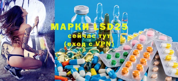 ГАЛЛЮЦИНОГЕННЫЕ ГРИБЫ Баксан