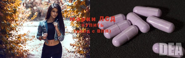 ГАЛЛЮЦИНОГЕННЫЕ ГРИБЫ Баксан