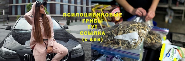 ГАЛЛЮЦИНОГЕННЫЕ ГРИБЫ Баксан